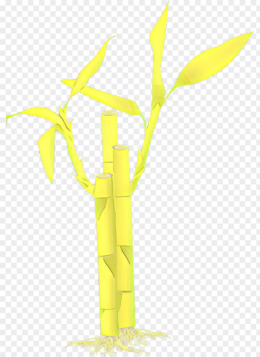 Flower Bamboo Tropical Tree PNG