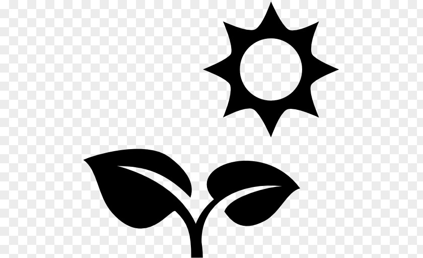 Plant Icon Design Share PNG