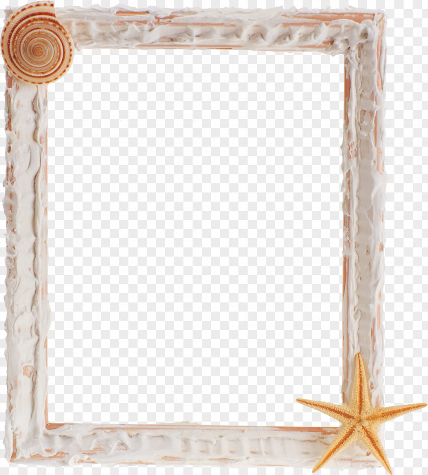 Seashell Picture Frames Mirror Sea Clip Art PNG