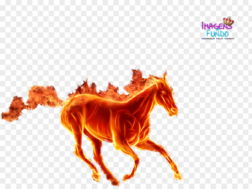 Shrek Fiona Horse Paper Pegasus Sticker Wallpaper PNG