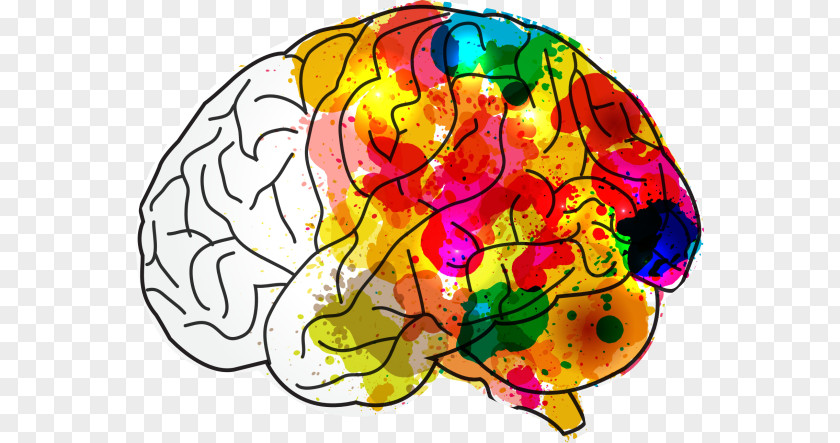 Brain Health Human Creativity Mind Hacks PNG