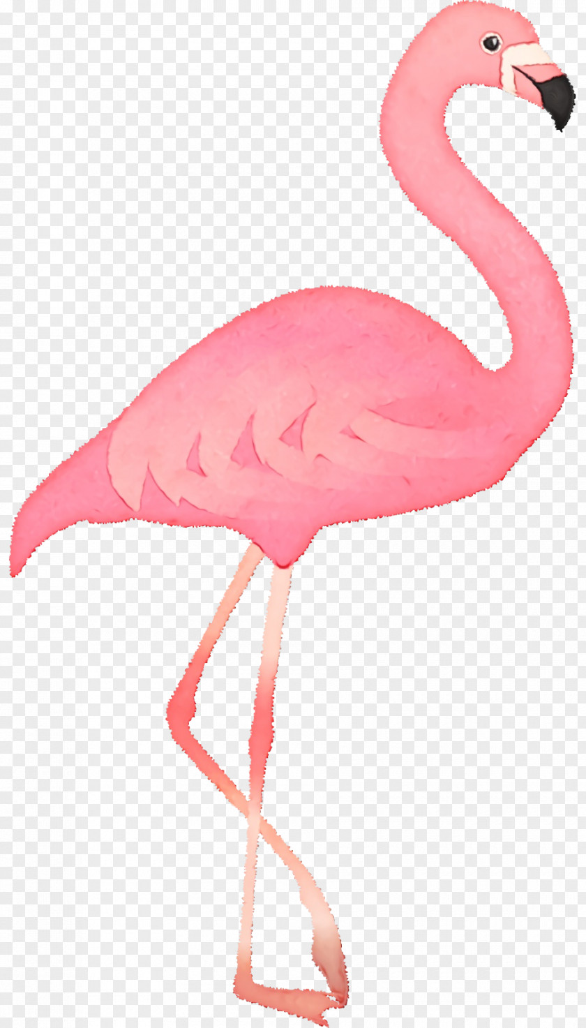 Feather PNG