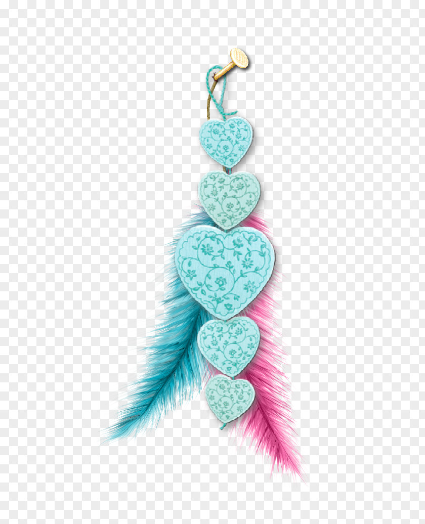 Jewellery Turquoise Body Feather PNG