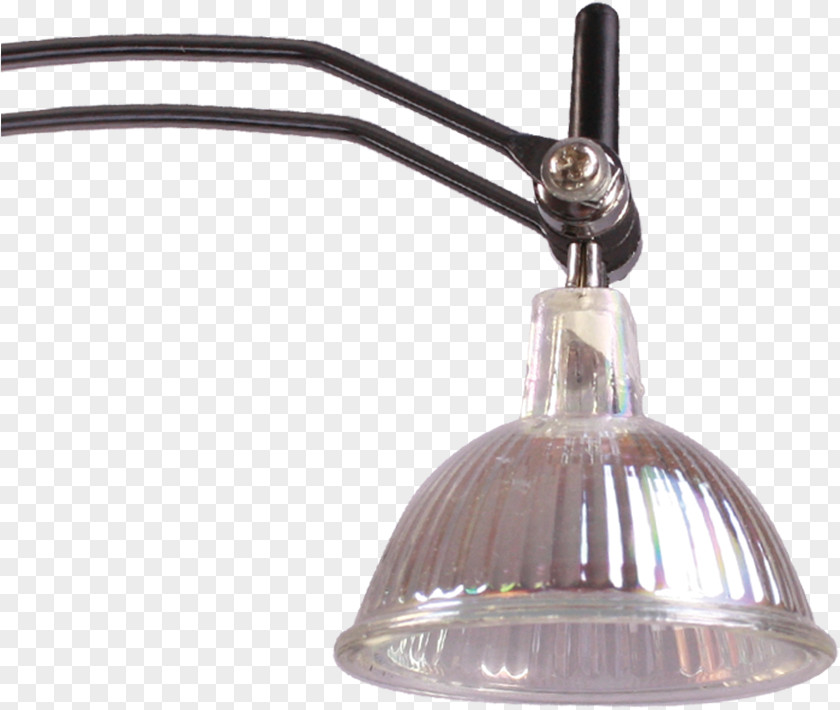 Light Fixture Lighting Light-emitting Diode Grow PNG