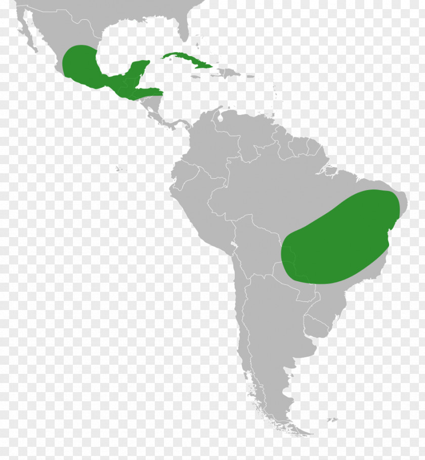 Map Latin America South Central Linguistic PNG