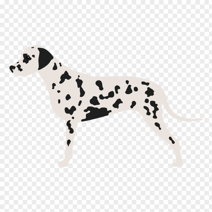 Puppy Dalmatian Dog Breed Companion Textile PNG