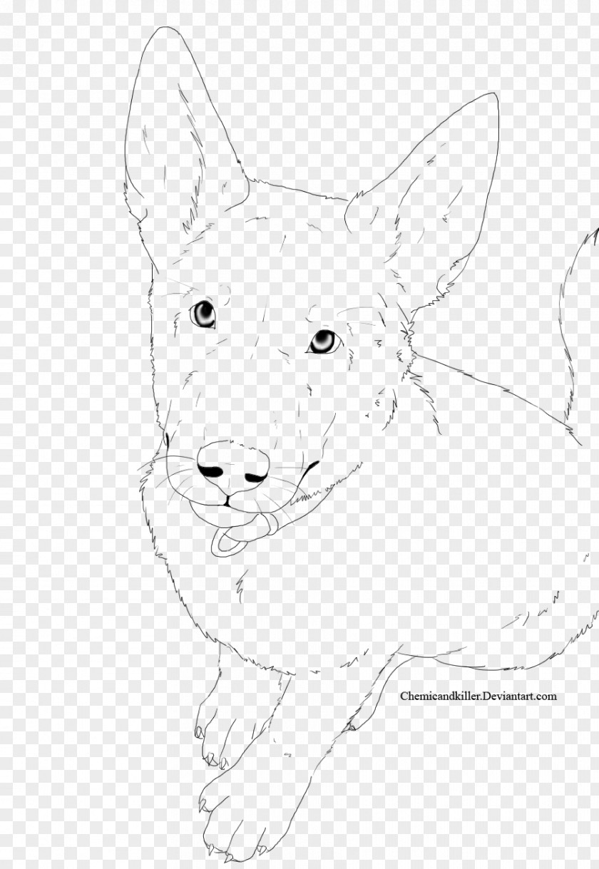 Shepherd Dog Red Fox Snout Whiskers Drawing PNG