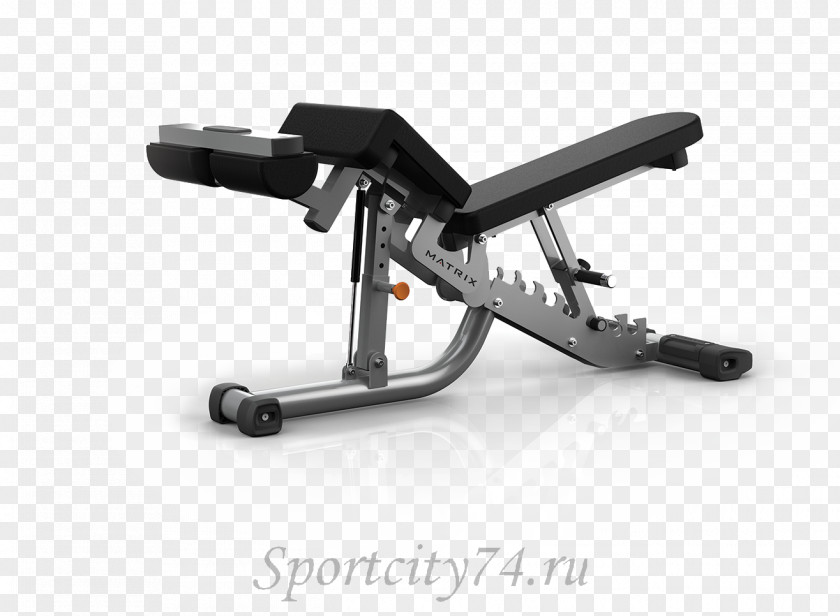 Bodybuilding Bench Press Physical Fitness Exercise Weightlifting Machine PNG