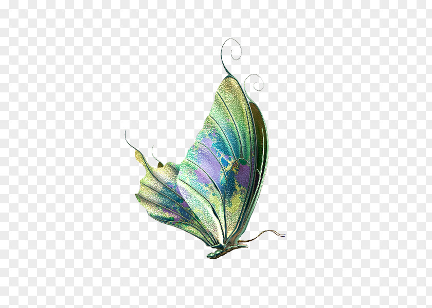 Butterfly Insect Desktop Wallpaper Clip Art PNG