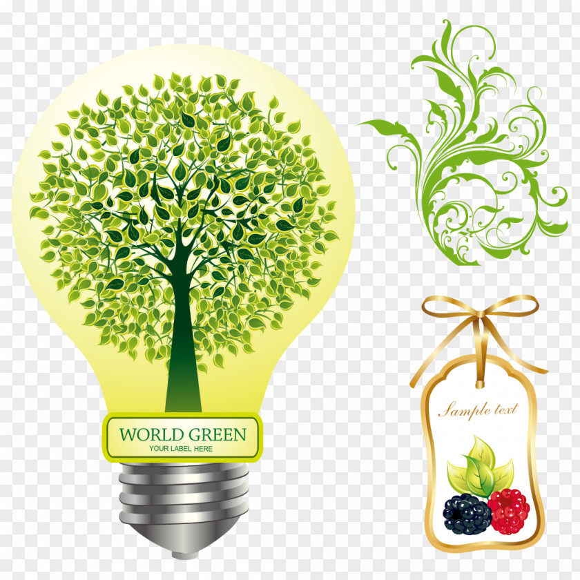 Fig Tree Bulb Creative Incandescent Light Creativity PNG