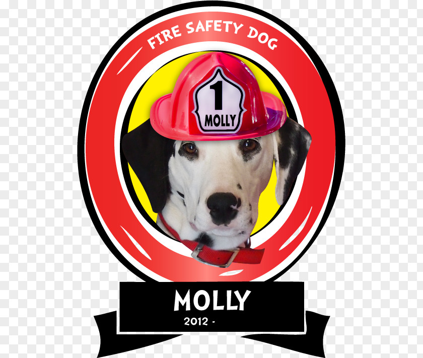 Fire Dalmatian Dog Safety Breed Prevention PNG