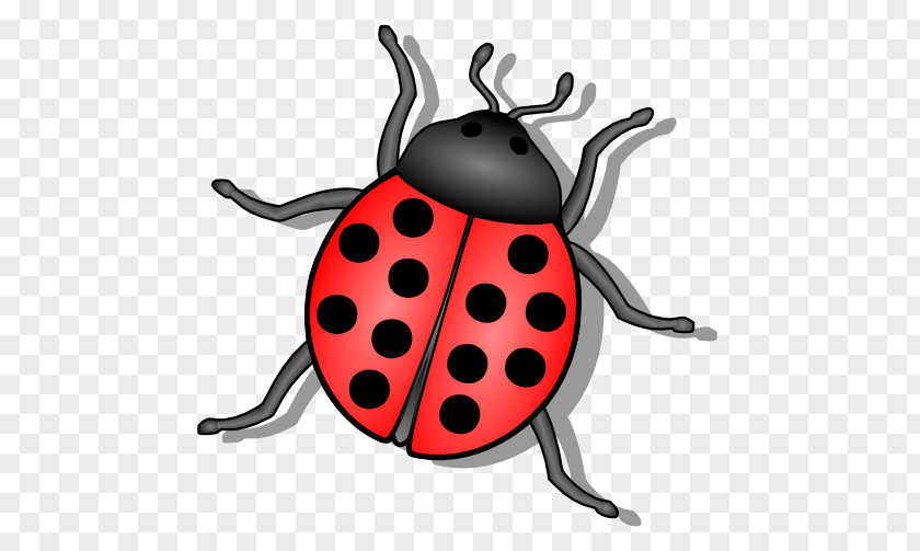 Free Ladybug Cliparts Beetle Ladybird Drawing Clip Art PNG
