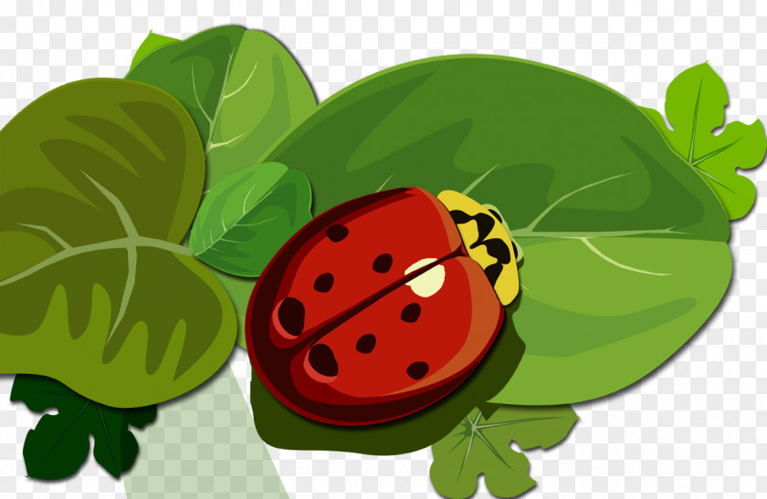 Ladybug On A Leaf Computer Mouse Mousepad IPad PNG