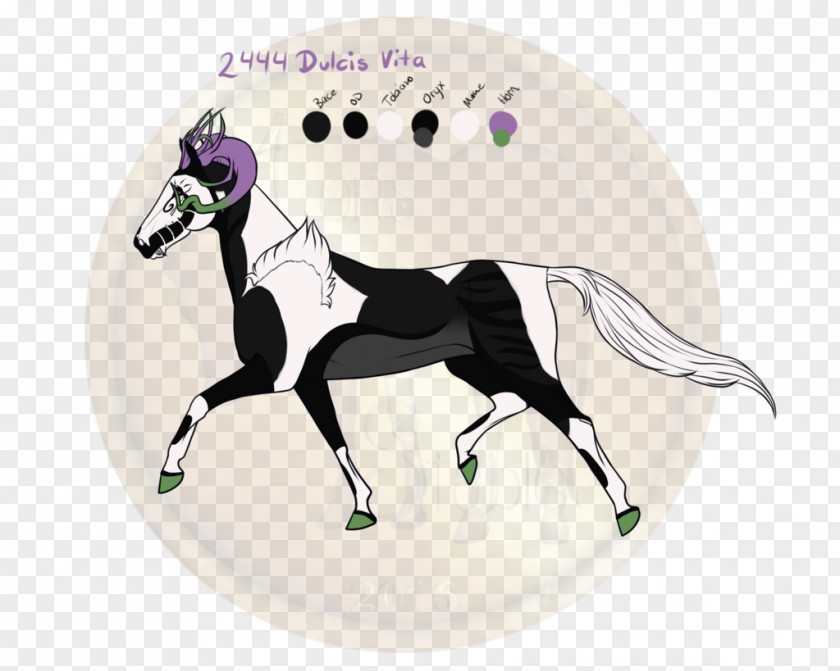 Mustang Mane Rein Pony Stallion PNG