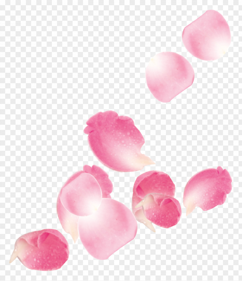 Pink Falling Rose Petal Wedding Beach Flower PNG