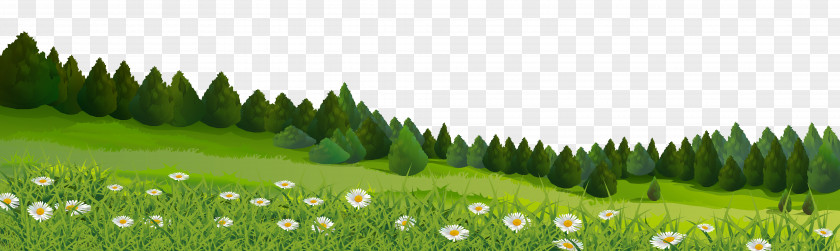 Trees And Grass Clip Art Image Lawn PNG