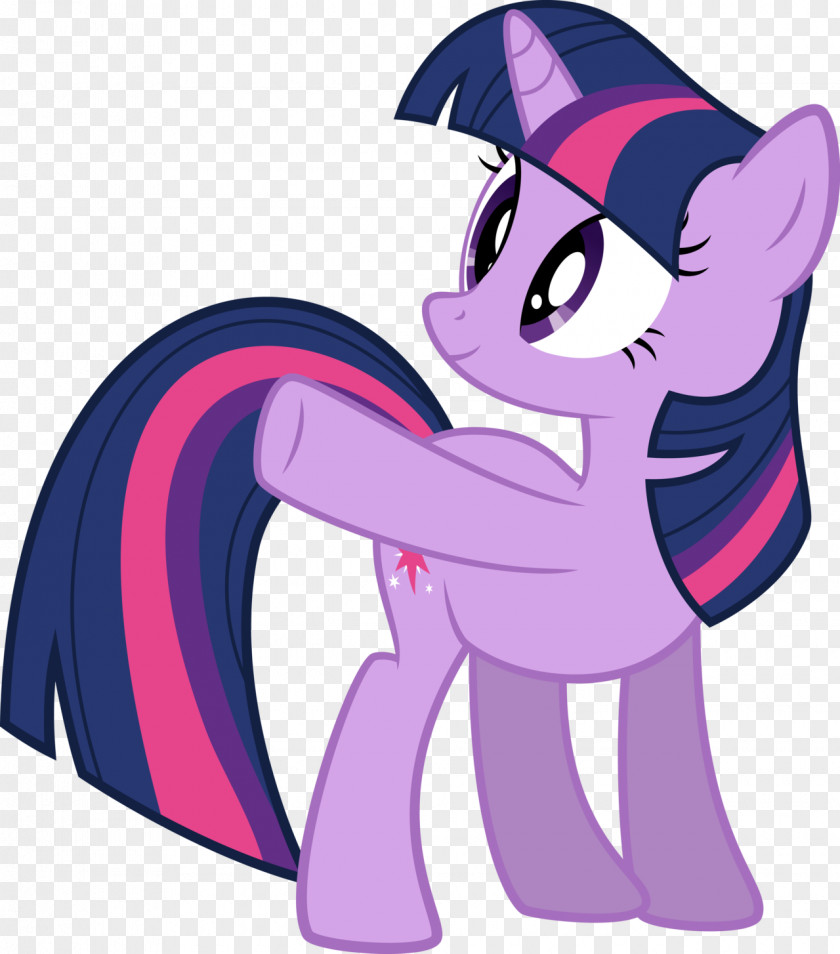 Cross-eye Pony Twilight Sparkle Rainbow Dash Applejack Pinkie Pie PNG