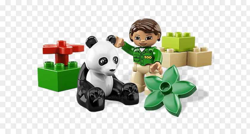 Lego Friends Animals Packs Amazon.com Giant Panda Minifigure LEGO 10576 Zookeeper PNG