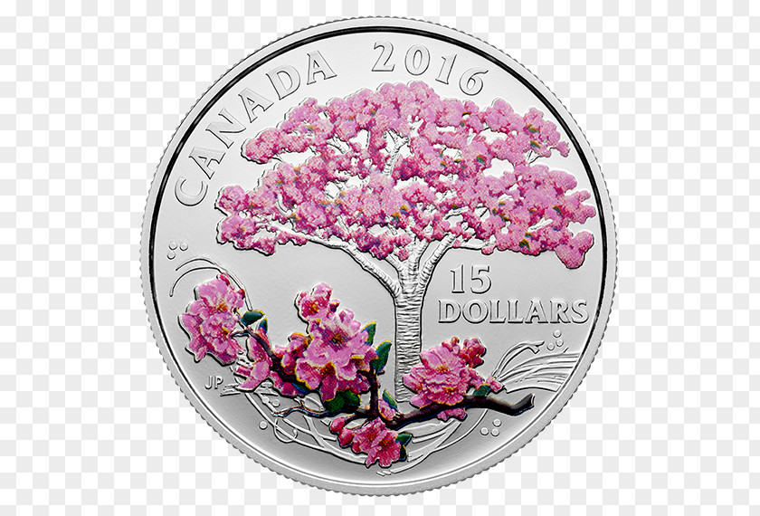 Mint Flowers Canada Silver Coin Cherry Blossom PNG