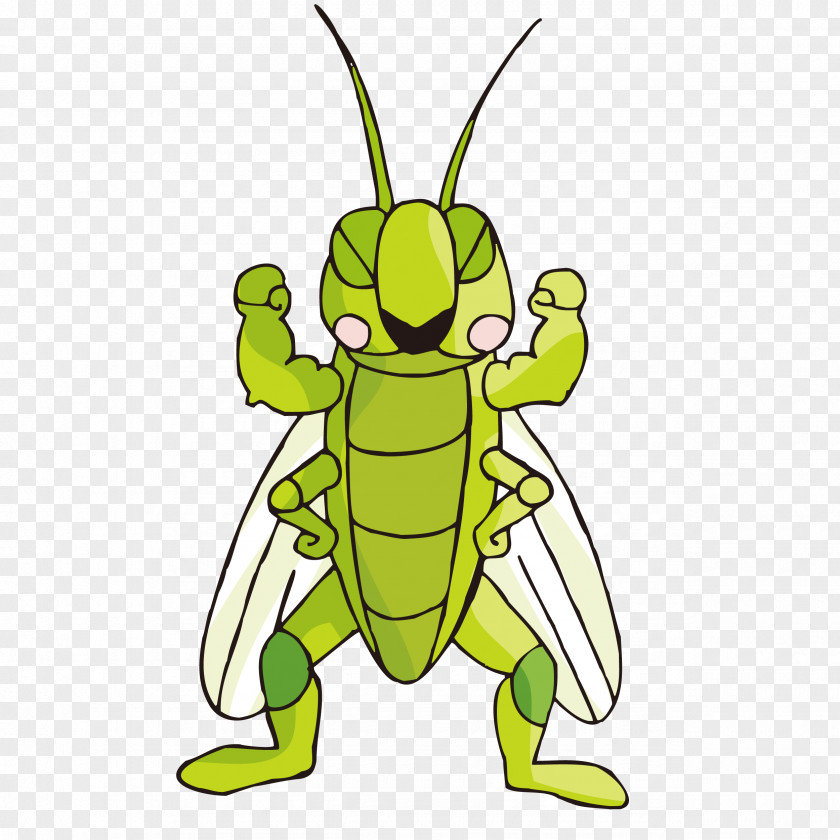 Showing Off Muscles Cricket Insect Cartoon Illustration PNG
