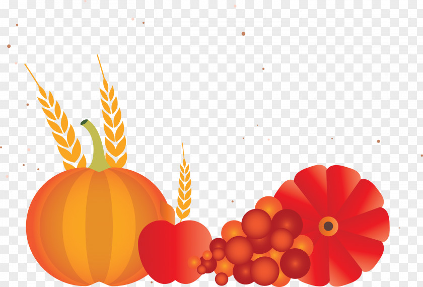 Vegetable Harvest Autumn PNG