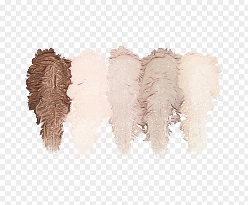 Wing Beige Fur Feather PNG