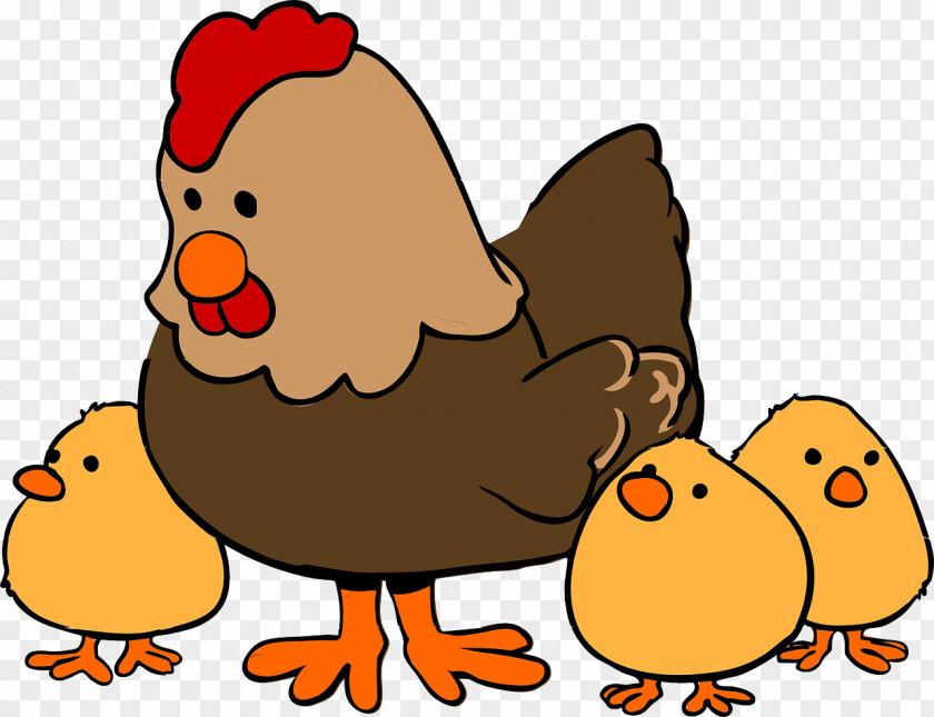 Chicken Coop Kifaranga Clip Art PNG