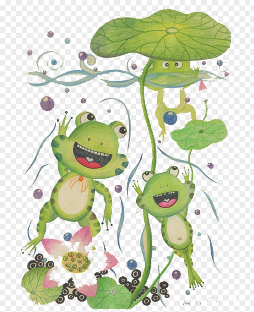 Lovely Little Frogs Tree Frog Illustration PNG