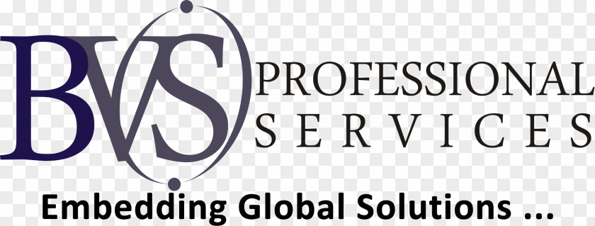 Business BVS PROFESSIONAL SERVICES Management PNG