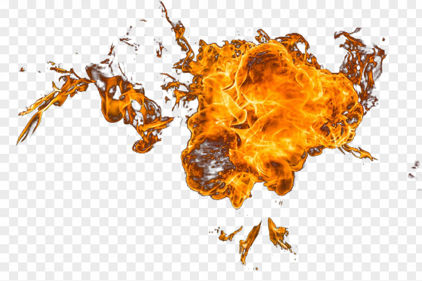 Dynamic Flame Combustion PNG