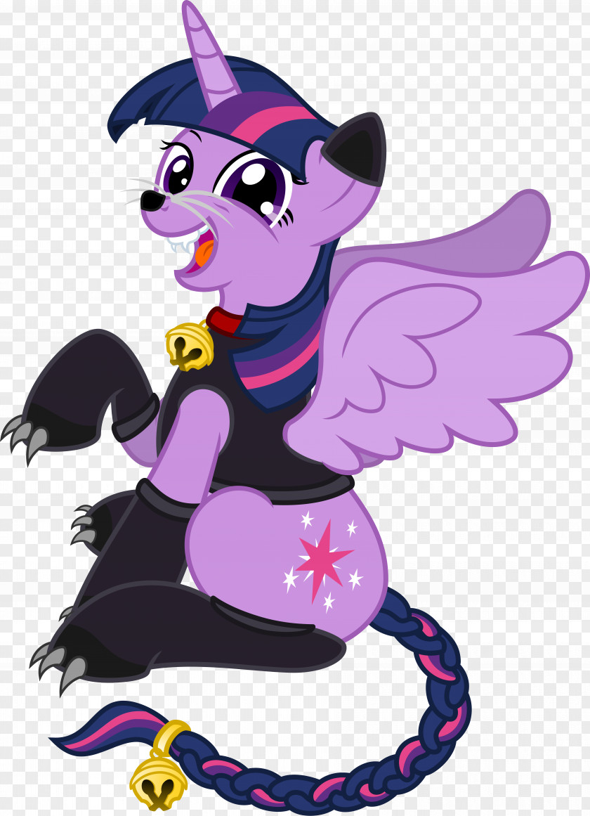 Twilight Sparkle Pinkie Pie Applejack Rarity Fluttershy PNG