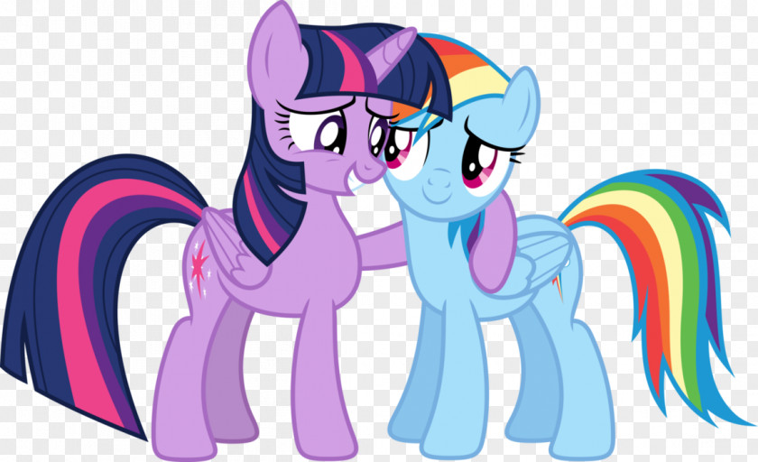 Twilight Sparkle Rainbow Dash Pony Rarity Winged Unicorn PNG