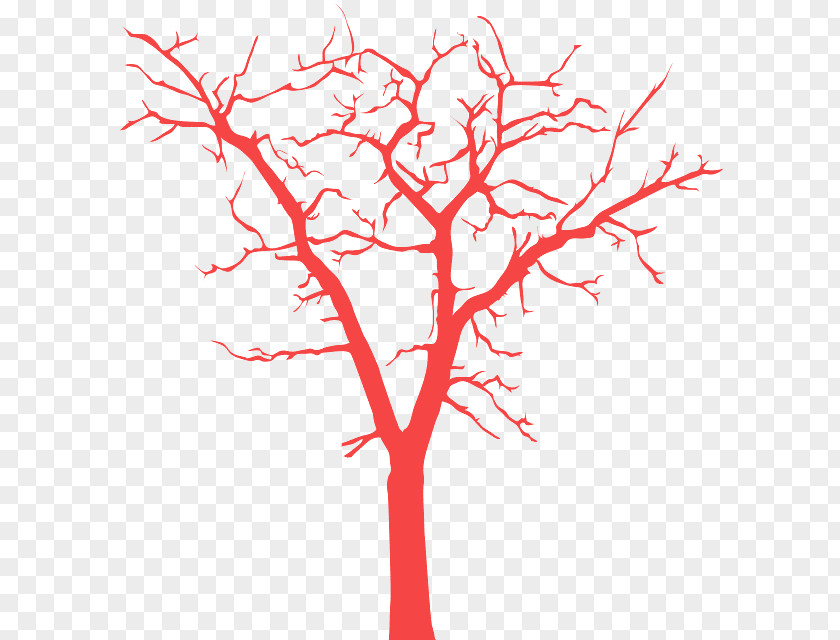 Branch Tree Red Twig Leaf PNG