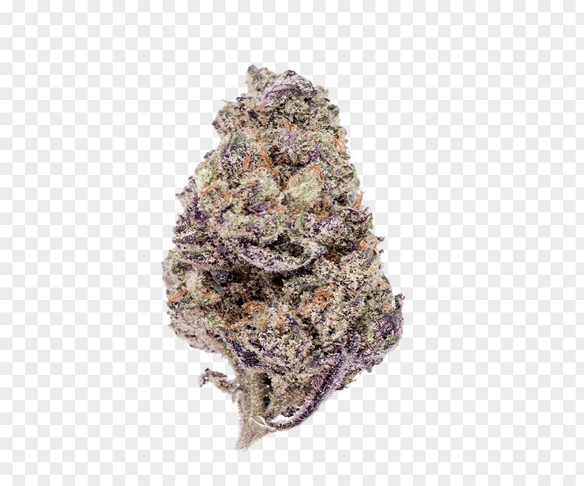 Cannabis Purple Haze Leafly Skunk PNG