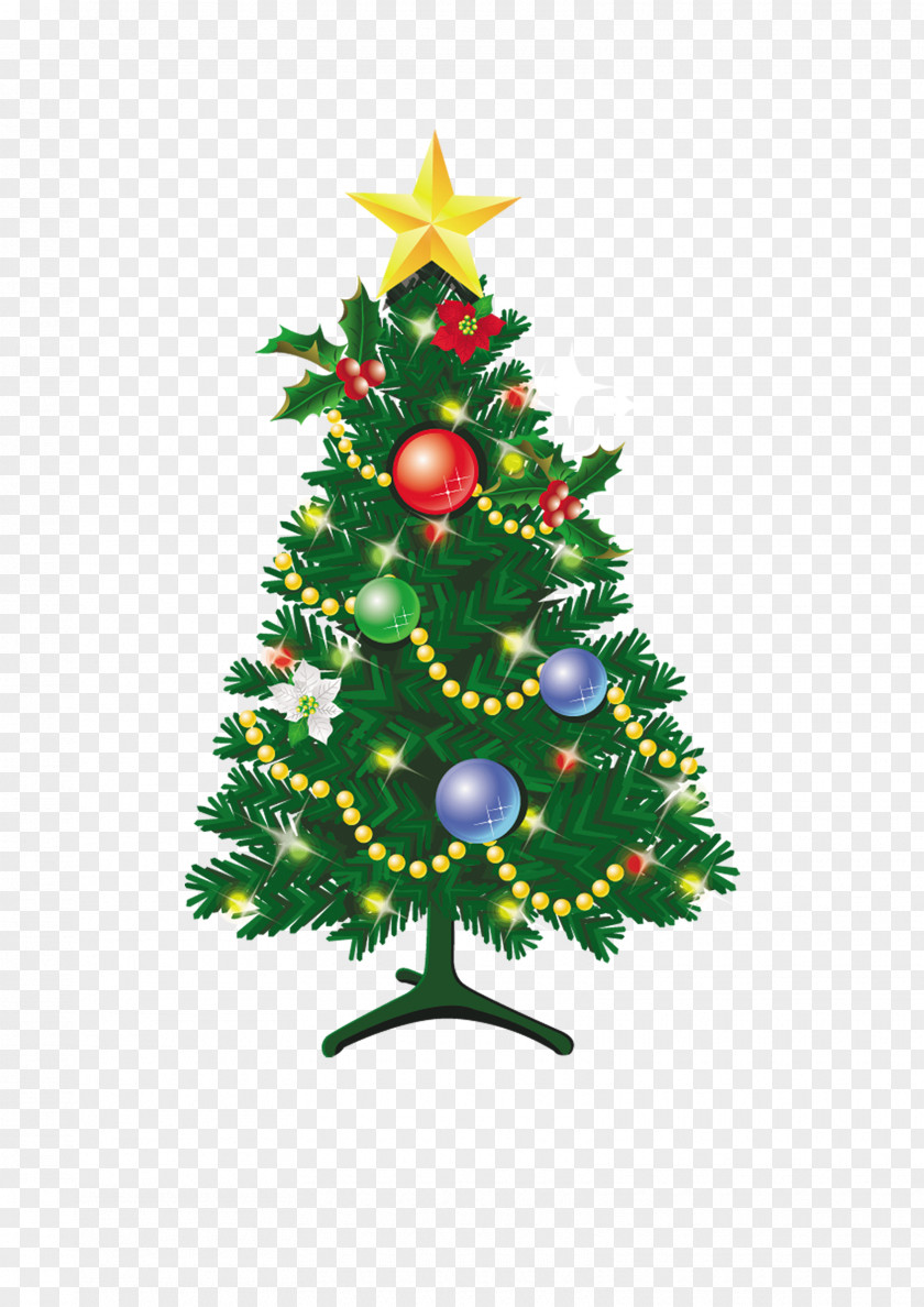 Christmas Trees Leaves Tree Illustration PNG