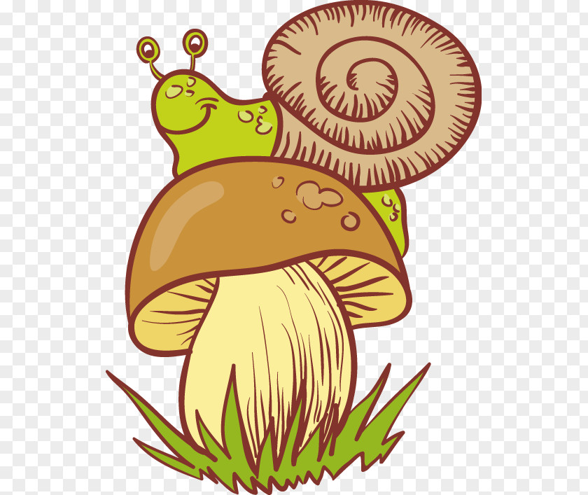 Snail Clip Art Mushroom Image PNG