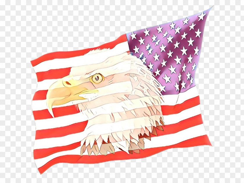 Throw Pillow Independence Day Veterans PNG