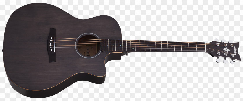 Acoustic Jam Twelve-string Guitar Schecter Research Acoustic-electric PNG