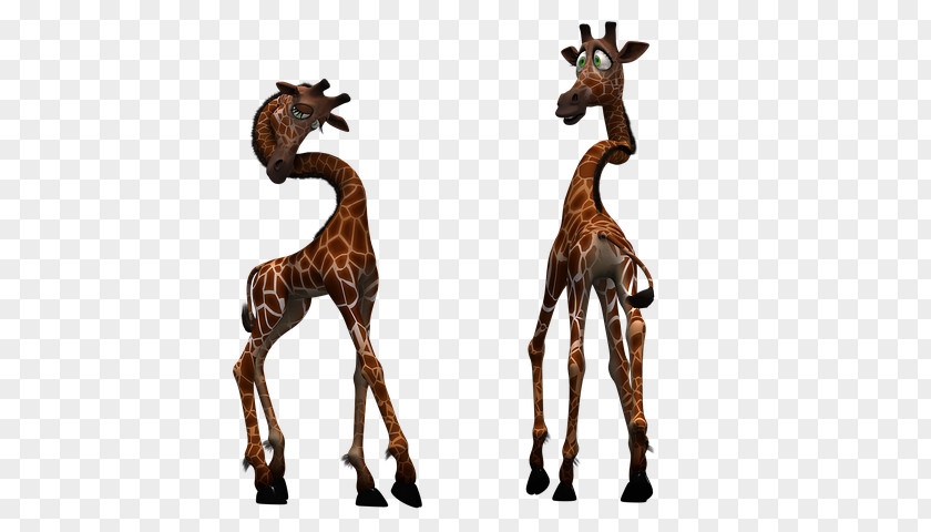 Baby Giraffe Cartoon Images Clip Art Mammal Northern Reticulated PNG