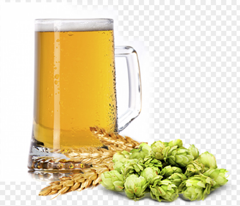Beer Stock Photography Royalty-free Image PNG
