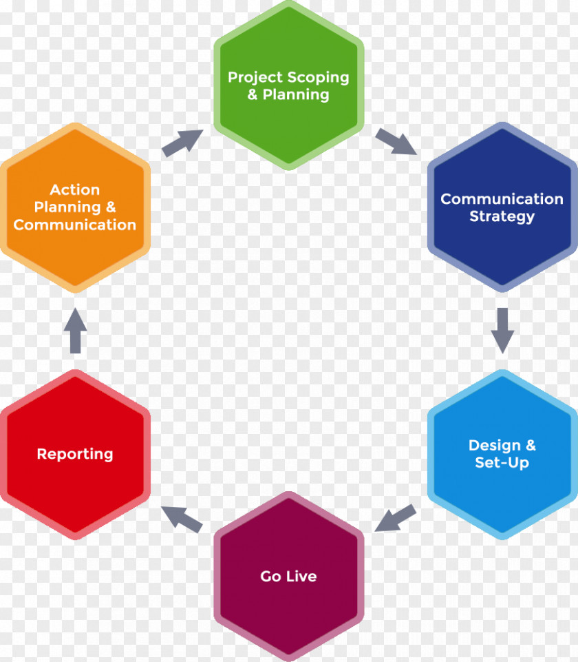 Cycle Diagram Employee Engagement Organization Surveys Management Survey Methodology PNG