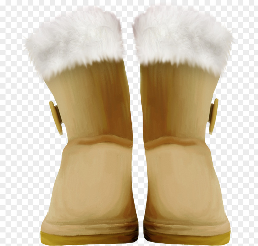 Boot Snow PNG