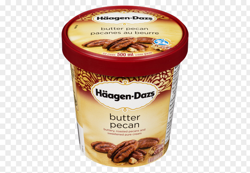 Ice Cream Chocolate Truffle Häagen-Dazs Gelato PNG