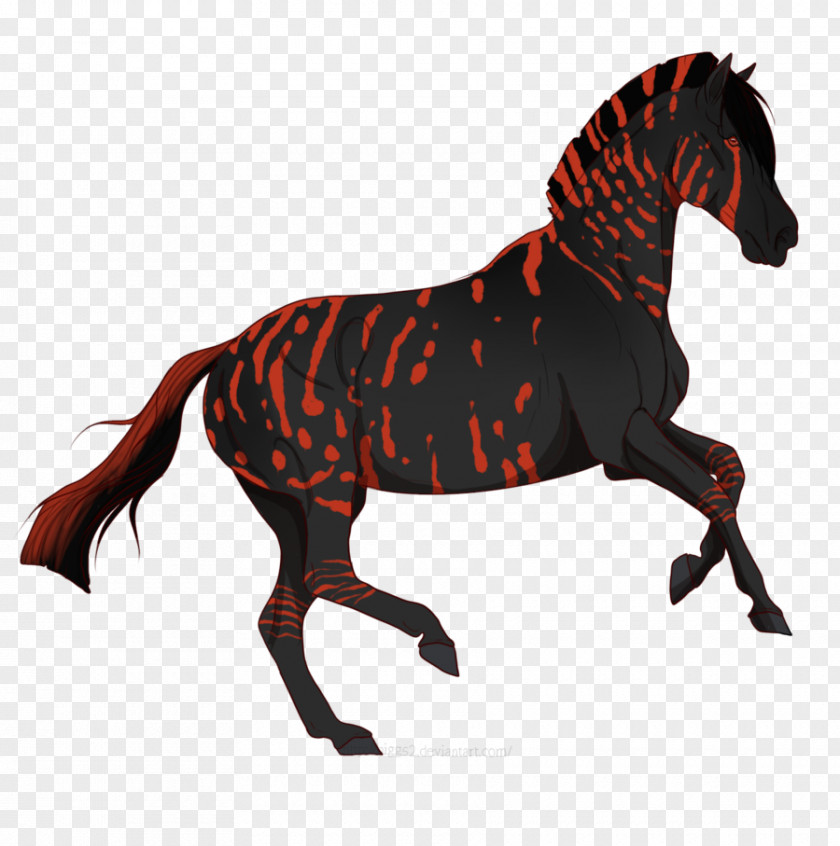 Mustang Stallion Mare Rein Pony PNG