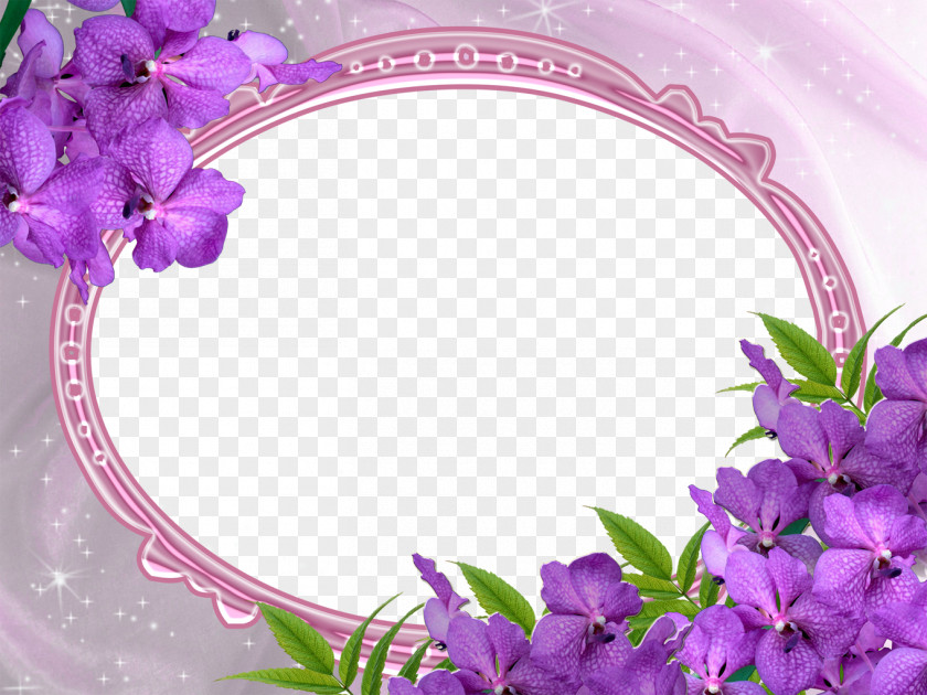 Purple Wedding Photo Frame Kozhikode Picture Frames Love Friendship PNG