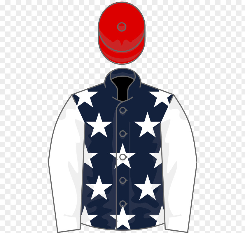 United States T-shirt Horse Houghton Mares' Chase Sleeve PNG