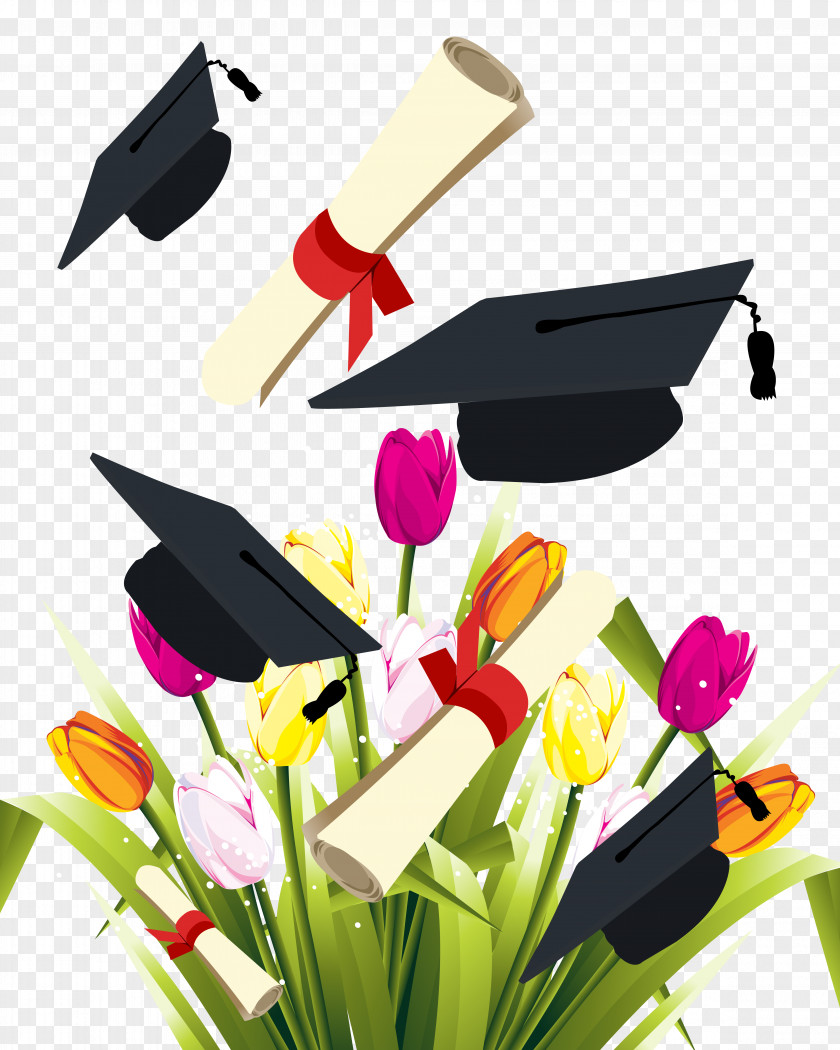 Graduation Season Element Ceremony Square Academic Cap Diploma Clip Art PNG