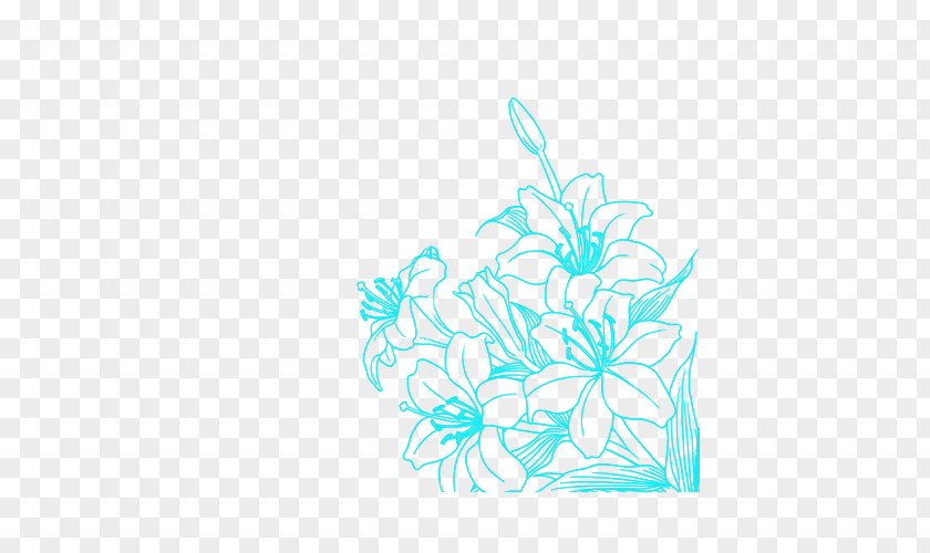 Holi Drawing Photography Flower PNG