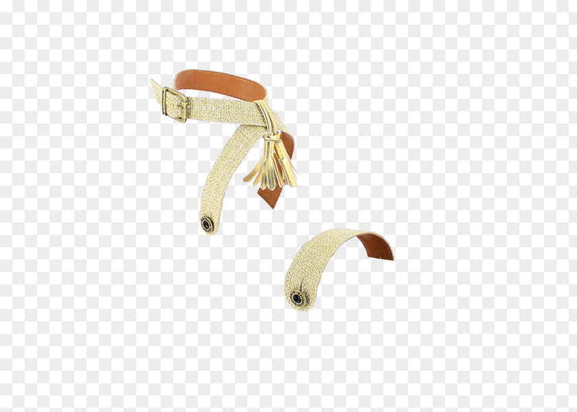 Jewellery Body Beige PNG