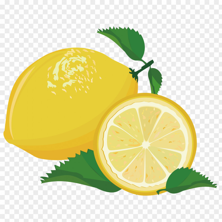 Lemon Fruit Lime Orange PNG